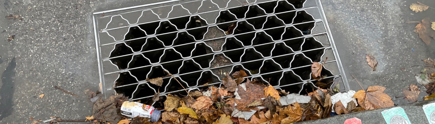 A street storm drain with a wire cover.