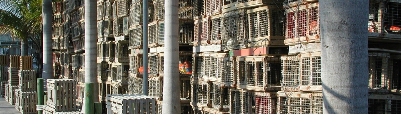 Lobster trap-yard.
