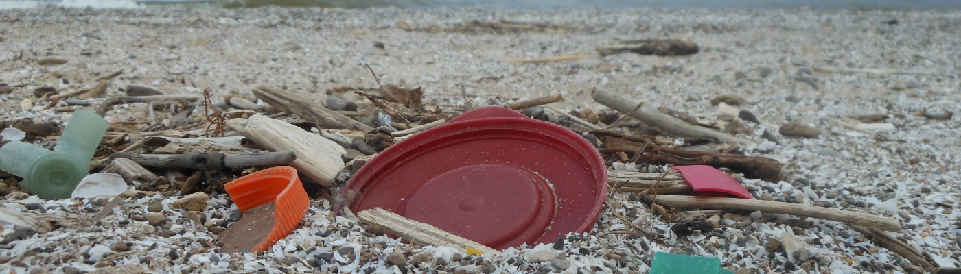 Plastic on Lake Erie shoreline. 