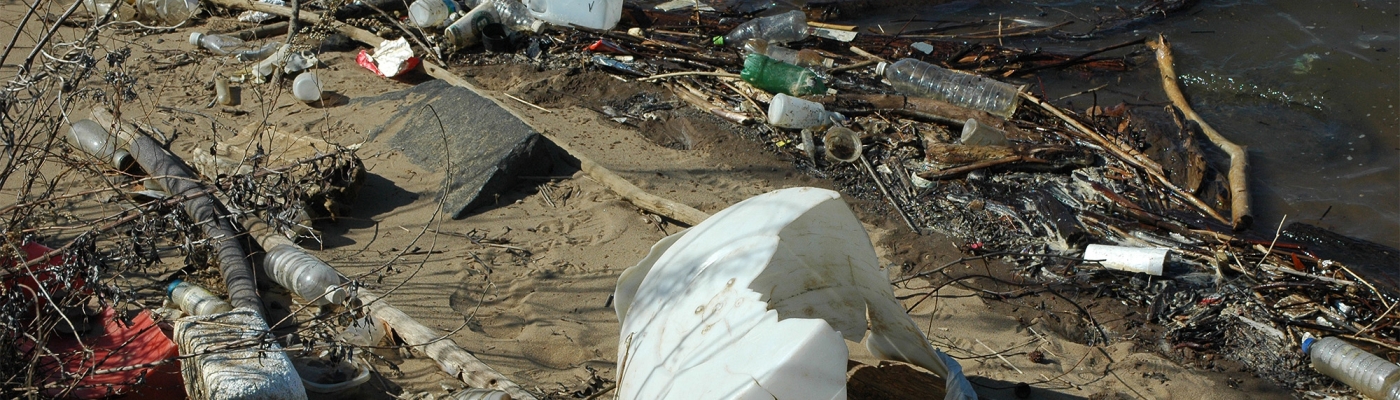 Debris on the banks of the Potomac River. 