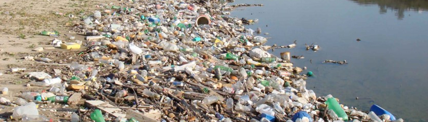 Pastic debris and trash mixed in with natural debris along a river shoreline.