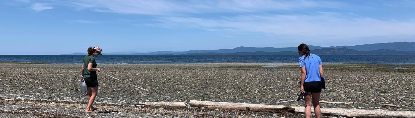 Volunteers with the Mount Arrowsmith Biosphere Region Research Institute survey for marine debris in French Creek beach on Vancouver Island, British Columbia (Photo: Mount Arrowsmith Biosphere Region Research Institute) Volunteers survey for marine debris on a beach.