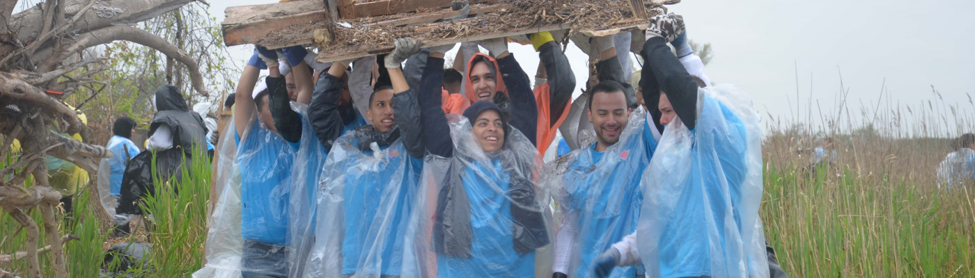 Workers lift heavy debris from beach.