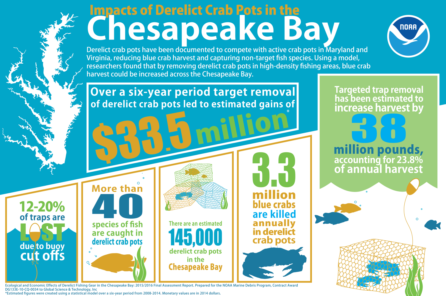 Impacts of Derelict Crab Pots in the Chesapeake Bay