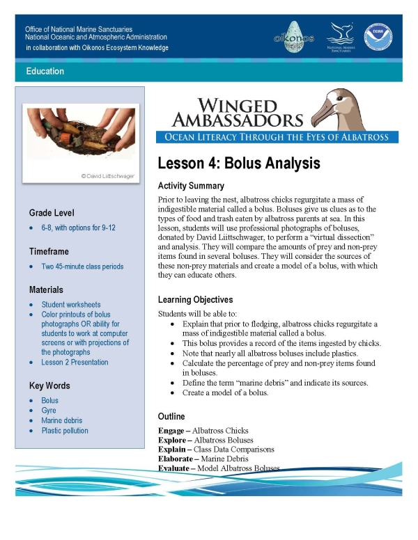 Cover of the Bolus Analysis lesson plan.