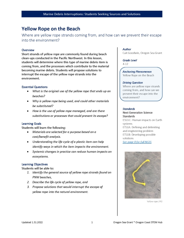 First page of the Marine Debris Interruptions: Yellow Rope on the Beach lesson.