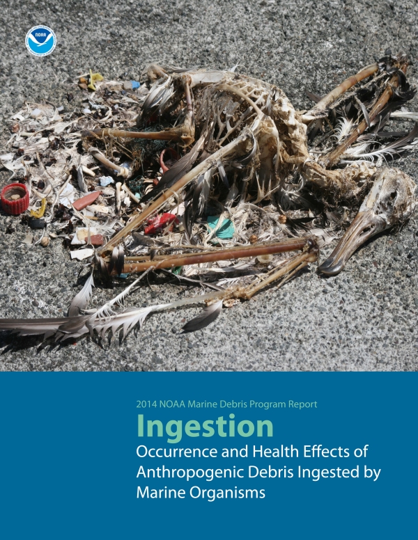 Marine debris ingestion report. 