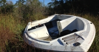 Identified Derelict Vessel in Marsh.