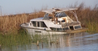 A boat sits partially sunken in the water with tall grasses around it. 