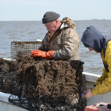 Fishermen remove derelict crab traps.