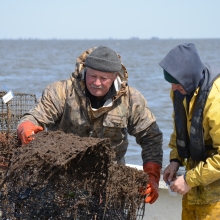 Fishermen remove derelict crab traps.