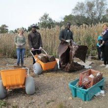 Volunteers remove debris in Jamaica Bay in NY. 