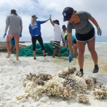 Coral Removed from a Derelict Net.