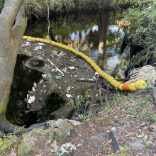 A trash boom set up in a waterway with marine debris collected on one side of the floats.