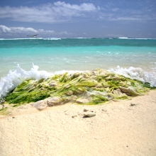 The Marine Debris team removes a large bundle of thin plastic film weighing 270 kg. (594 lbs.) from the southeastern shoreline of Eastern Island. (Photo Credit: NOAA PIFSC Coral Reef Ecosystem Program)