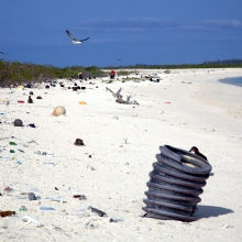 Debris along the eastern shoreline of Eastern Island. This photo is a before shot from the 2016 marine debris removal mission. (Photo Credit: NOAA PIFSC Coral Reef Ecosystem Program).