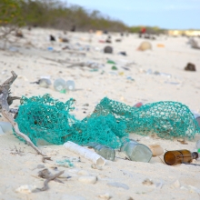 Debris along the eastern shoreline of Eastern Island. This photo is a before shot from the 2016 marine debris removal mission. (Photo Credit: NOAA PIFSC Coral Reef Ecosystem Program)