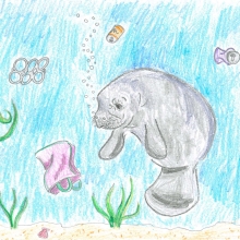 Artwork by Shannon T. (Grade 6, Florida)