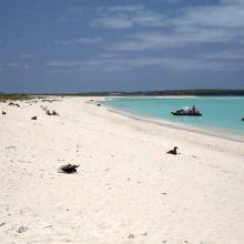 A clean beach remains after a removal team removes debris from the eastern shoreline of Eastern Island. This photo is an after shot from the 2016 marine debris removal mission. (Photo Credit: NOAA PIFSC Coral Reef Ecosystem Program) 