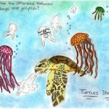 Artwork by Ceirra C. (Grade 7, Maryland), winner of the 2021 Annual NOAA Marine Debris Program Art Contest
