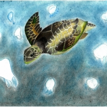 Artwork by Sophie W. (Grade 8, Michigan), winner of the 2021 Annual NOAA Marine Debris Program Art Contest