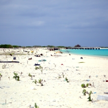 Before photo of the western shore of Eastern Island.