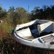 A researcher takes data notes on a vessel in Dog River. 