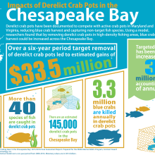 Infographic of the results from the Effects of Derelict Fishing Gear in the Chesapeake Bay Assessment Report.