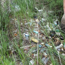 Plastic debris littering a marsh. (Photo Credit: Dauphin Island Sea Lab)