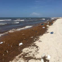 A beach littered with plastic debris. (Photo Credit: Dauphin Island Sea Lab)