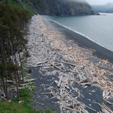 The South Beach of Gore Point on the Kenai Peninsula, a noted “catcher” beach for marine debris.