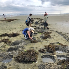 Three people stand on a beach examining derelict crab pots that are resting in the sand.