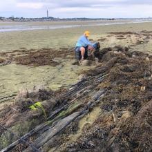A person bends down on a beach to view derelict aquacuture gear that has been left on a beach.