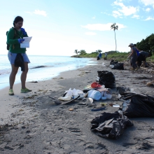 A volunteer records data on a beach in Puerto Rico. 