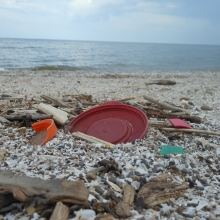 Debris at Magee Wildlife Area near Oak Harbor, OH. 