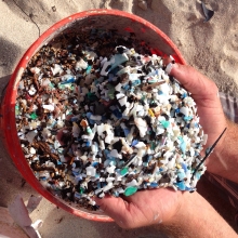 Bucket of microplastics (Photo: Sustainable Coastlines Hawaii). 