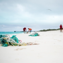 The Marine Debris team removing derelict fishing nets from North Beach, Sand Island, Midway Atoll.