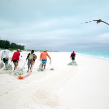 The Marine Debris team removing derelict fishing nets from North Beach, Sand Island, Midway Atoll. (Photo Credit: NOAA CREP)