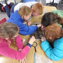 Marine Debris Education at the Feiro Marine Life Center.
