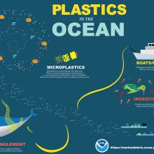Inforgraphic on plastics in the ocean, where they come from, and their impacts.