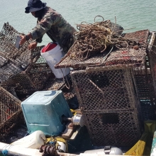 Naguabo fishing vessel returning to shore to offload derelict fishing gear.