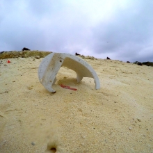 A plastic toilet seat washed up on the shoreline at Eastern Island, Midway Atoll.