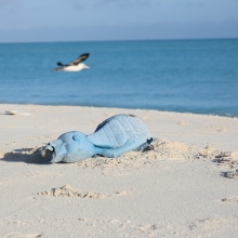 A toy motorcycle washed up on the sandy shores of North Beach, Sand Island, Midway Atoll. 