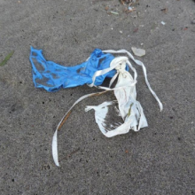 Remnants of rubber balloons with strings attached. (photo: Russ Lewis)