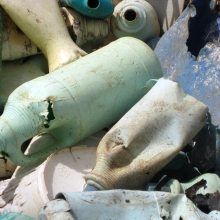 Plastic Bottles