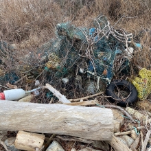 Fishing gear and other debris tangled in vegetation on a rocky shore.