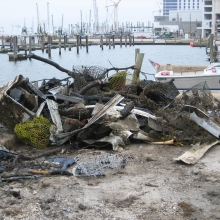 Debris from Hurricanes Katrina and Rita in the Gulf of Mexico Region