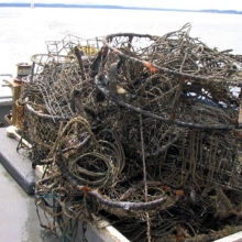 Derelict crab pots 