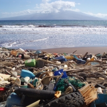 Marine Debris in Hawaii