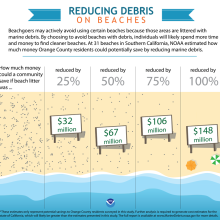 Marine Debris Economic Study Infographic. 